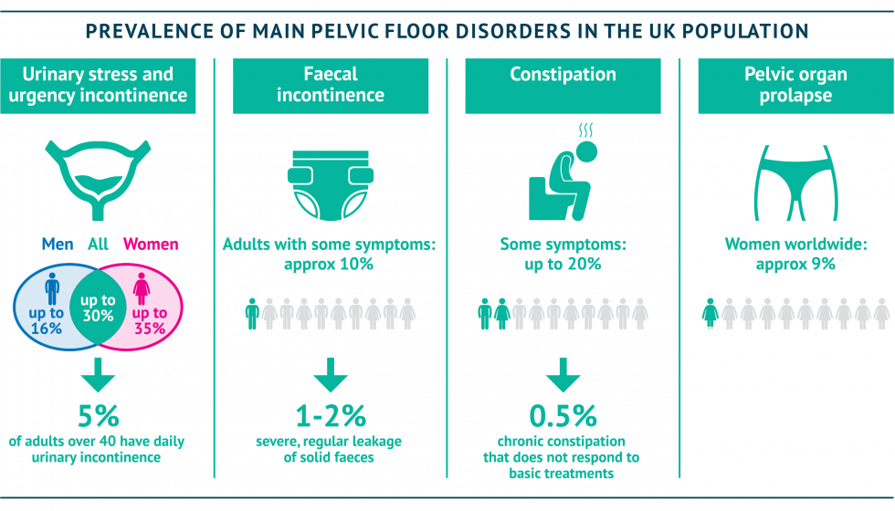 Introduction: The Reality | Pelvic Floor Report